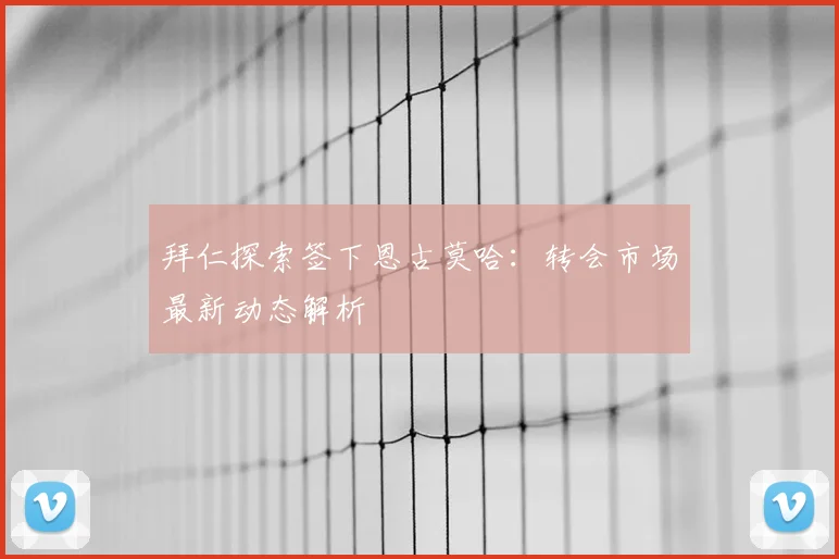 拜仁探索签下恩古莫哈:转会市场最新动态解析