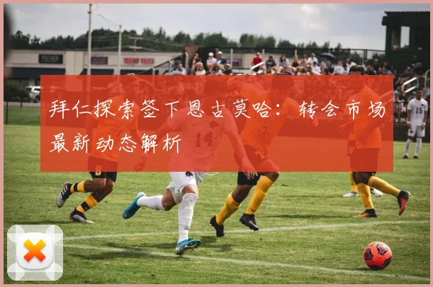 拜仁探索签下恩古莫哈:转会市场最新动态解析